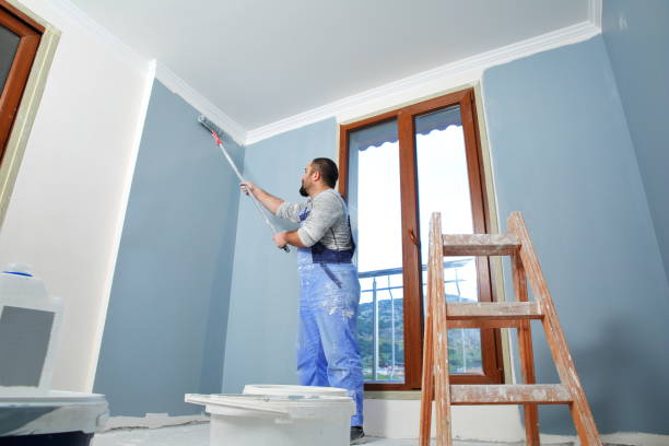 Best Stucco Painting  in Taylorsville, NC